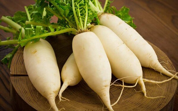 ăn củ cải giúp giải cảm ngày hè