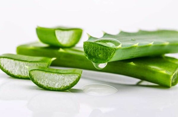lô hội trị rạn da cho mẹ bầu sau sinh hiệu quả
