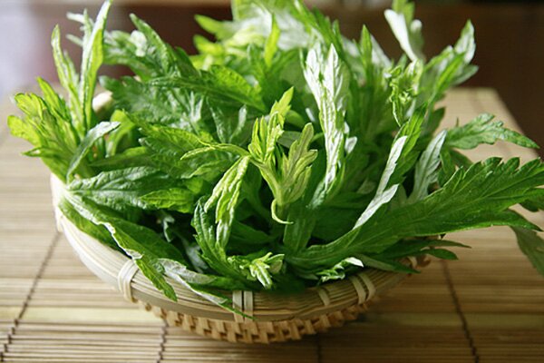 ngải cứu giúp trị bệnh ra mồ hôi tay chân