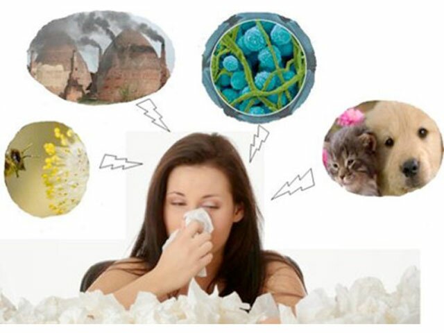 tác nhân gây viêm mũi dị ứng