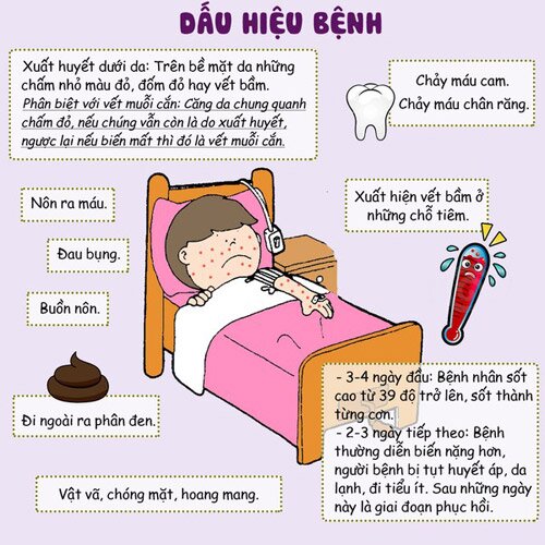 Các triệu chứng của bệnh sốt xuất huyết